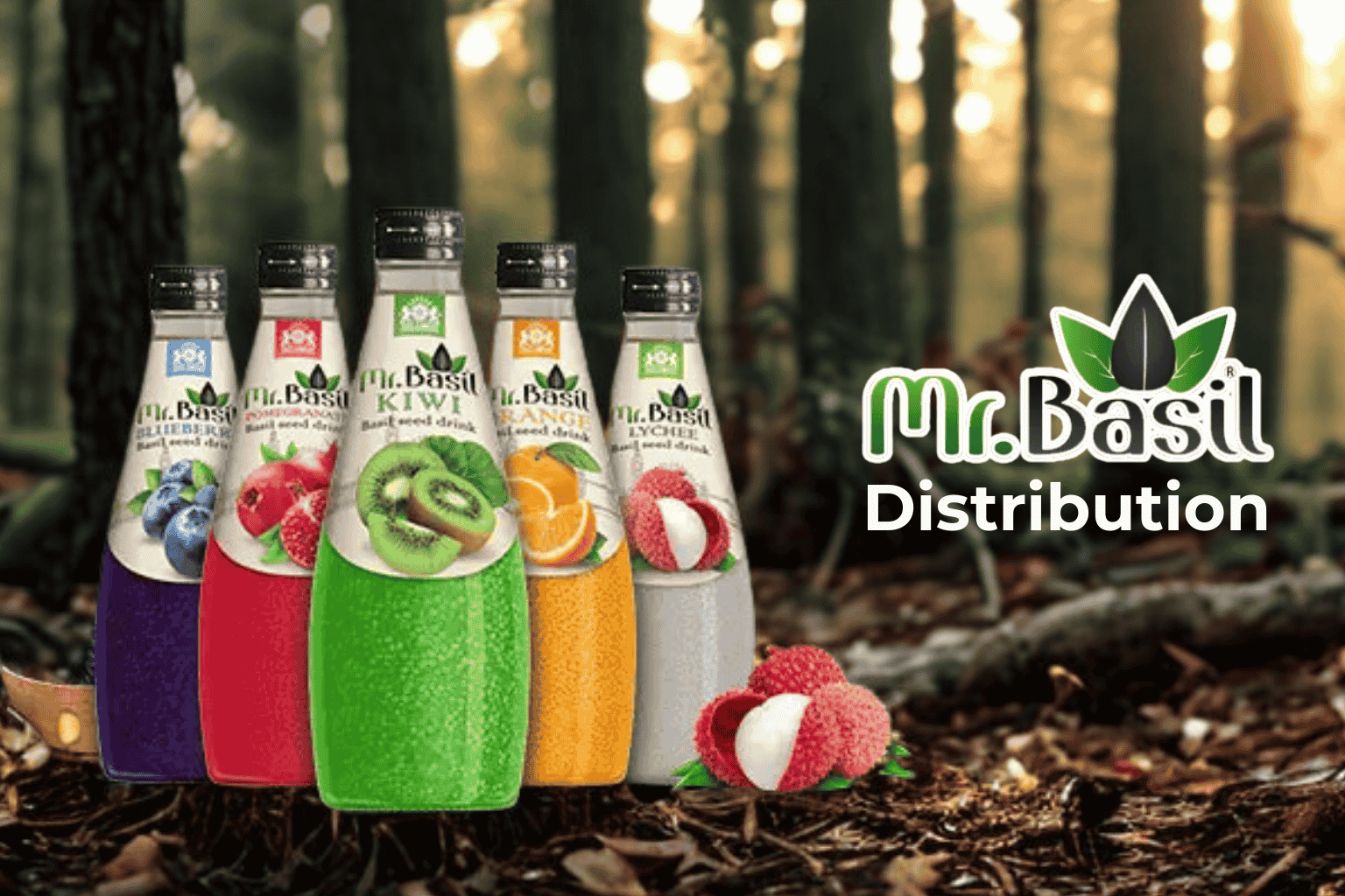 Global opportunity for Mr Basil distributors - colorful basil seed drink collection with tropical palm leaves